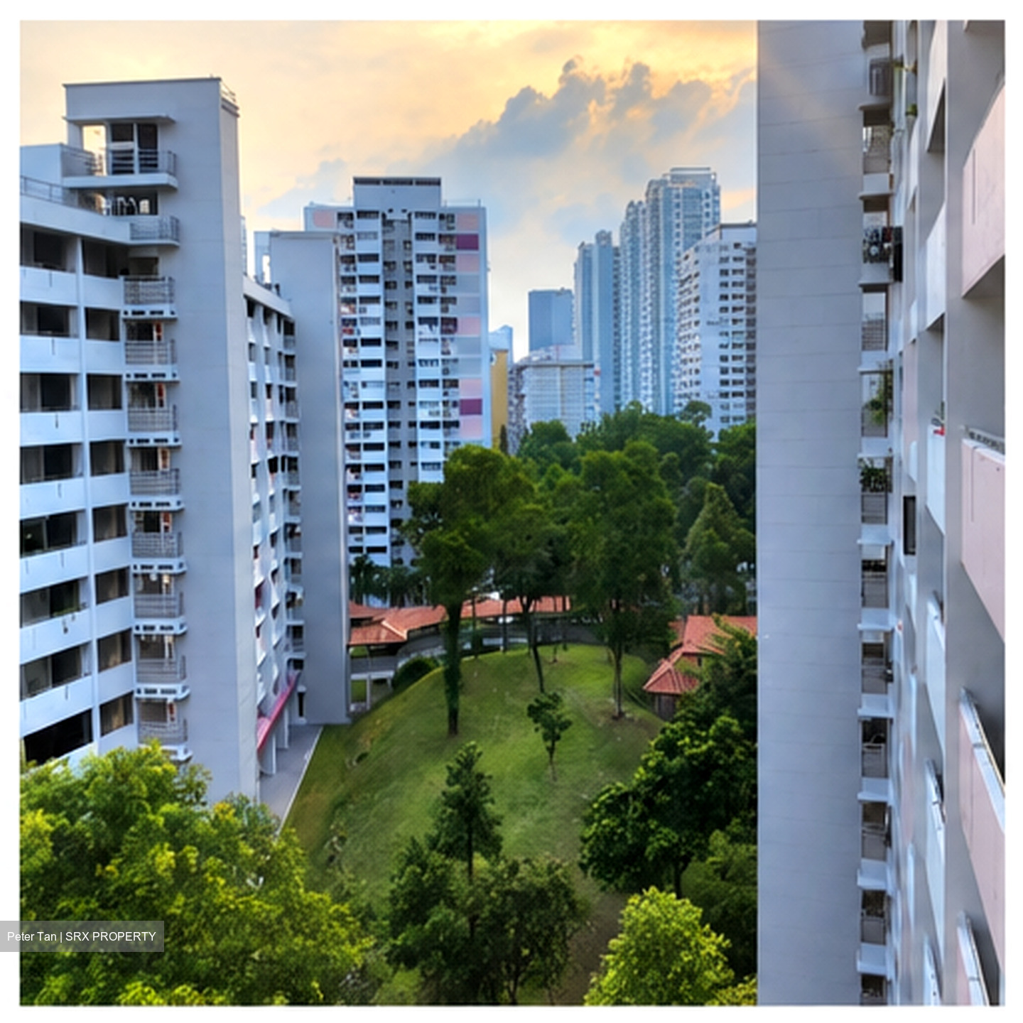 Blk 64 BLANGAH VIEW (Bukit Merah), HDB 3 Rooms #595923011